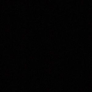 Meet your Posher, Mischa